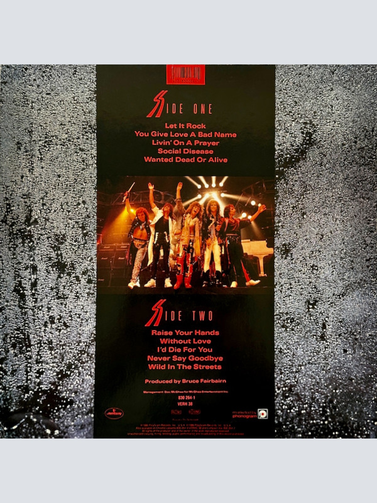 Vinyl / Bon Jovi - Slippery When Wet