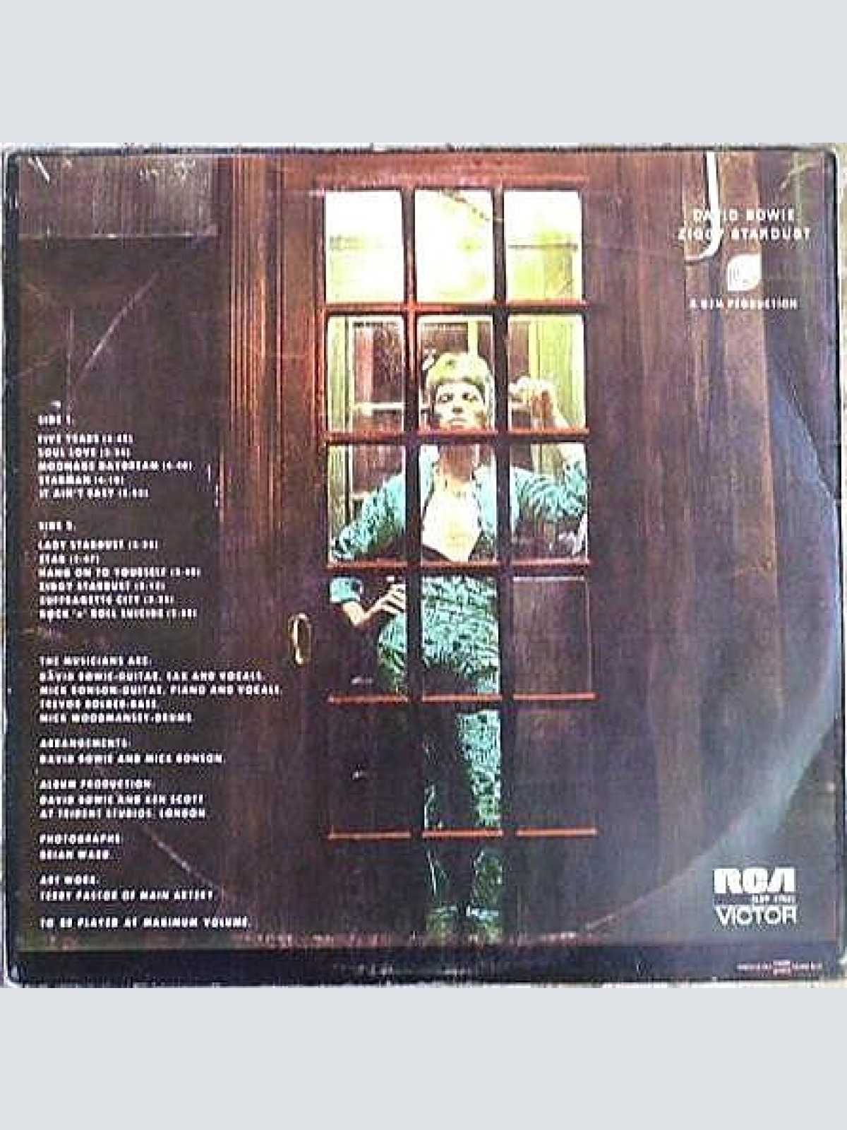 Vinyl / David Bowie - The Rise And Fall Of Ziggy Stardust And The Spiders From Mars