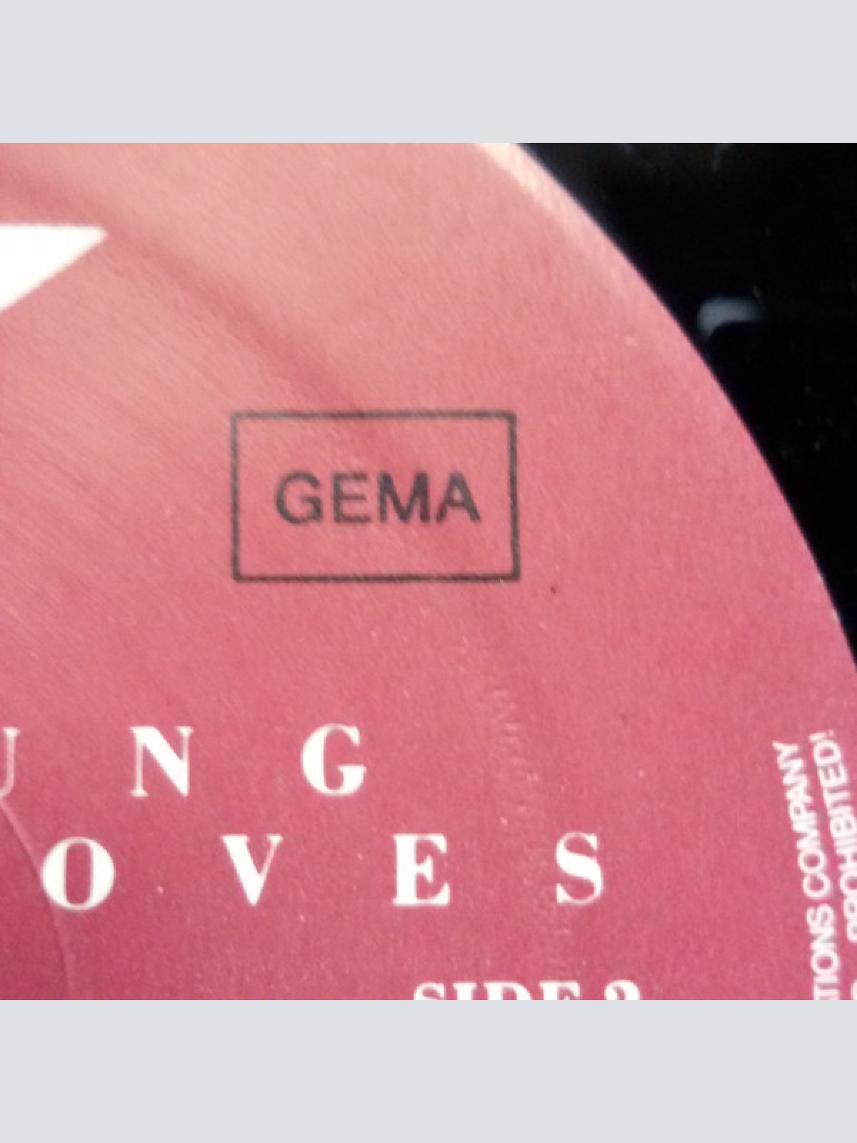 Vinyl / Neil Young - Hawks & Doves