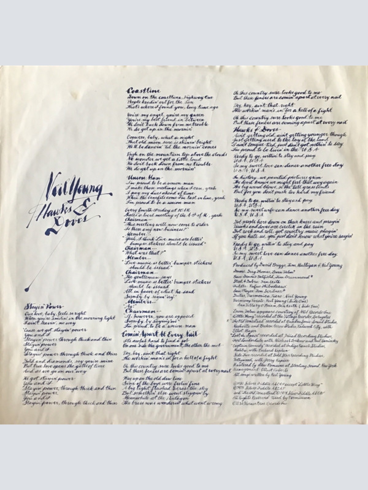 Vinyl / Neil Young - Hawks & Doves