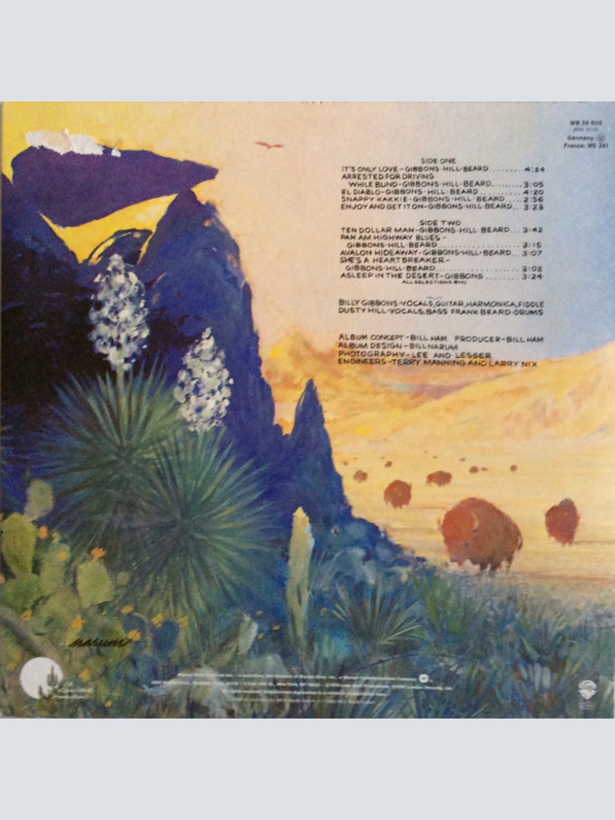 Vinyl / ZZ Top - Tejas