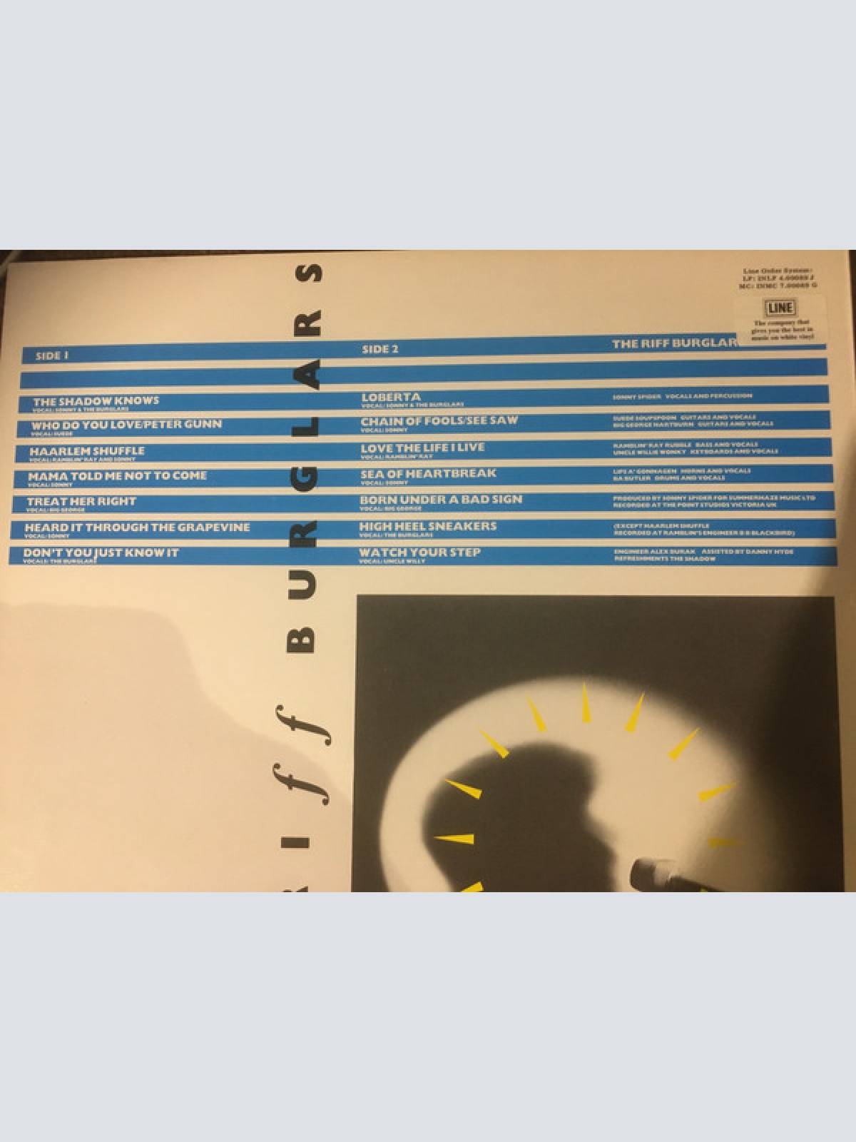 Vinyl / The Riffburglars - Swag