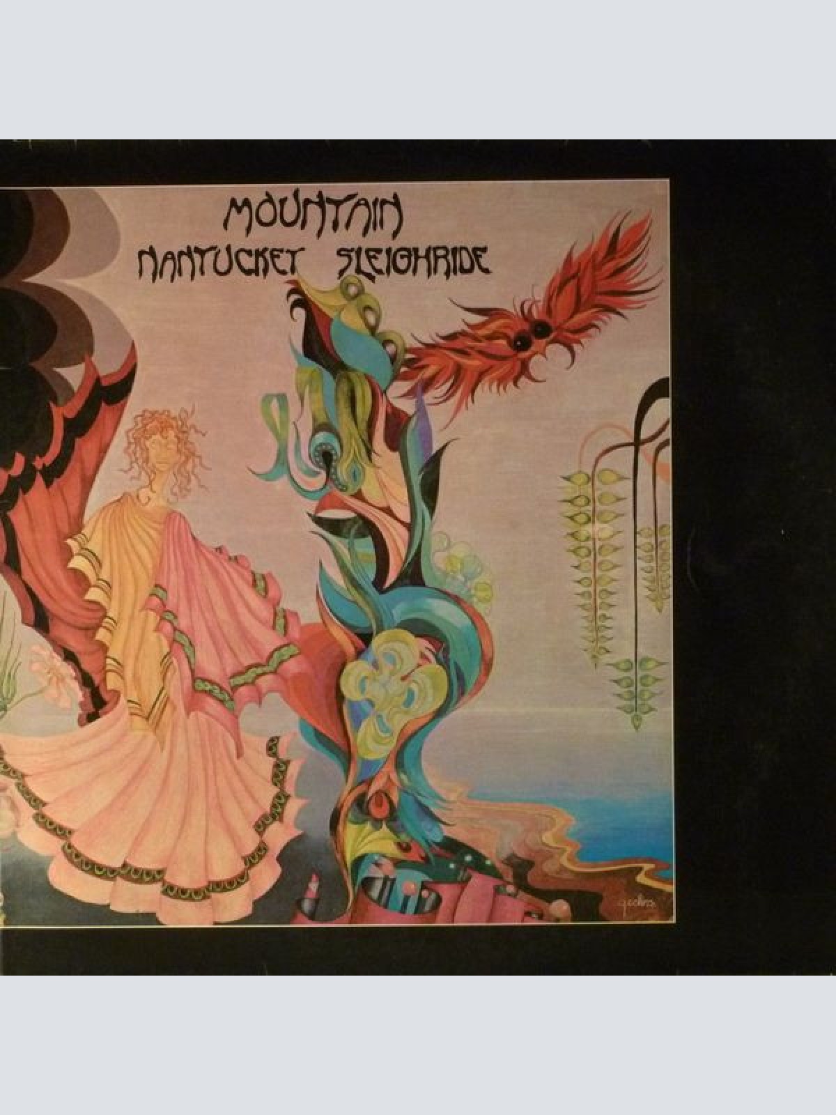 Vinyl / Mountain - Nantucket Sleighride