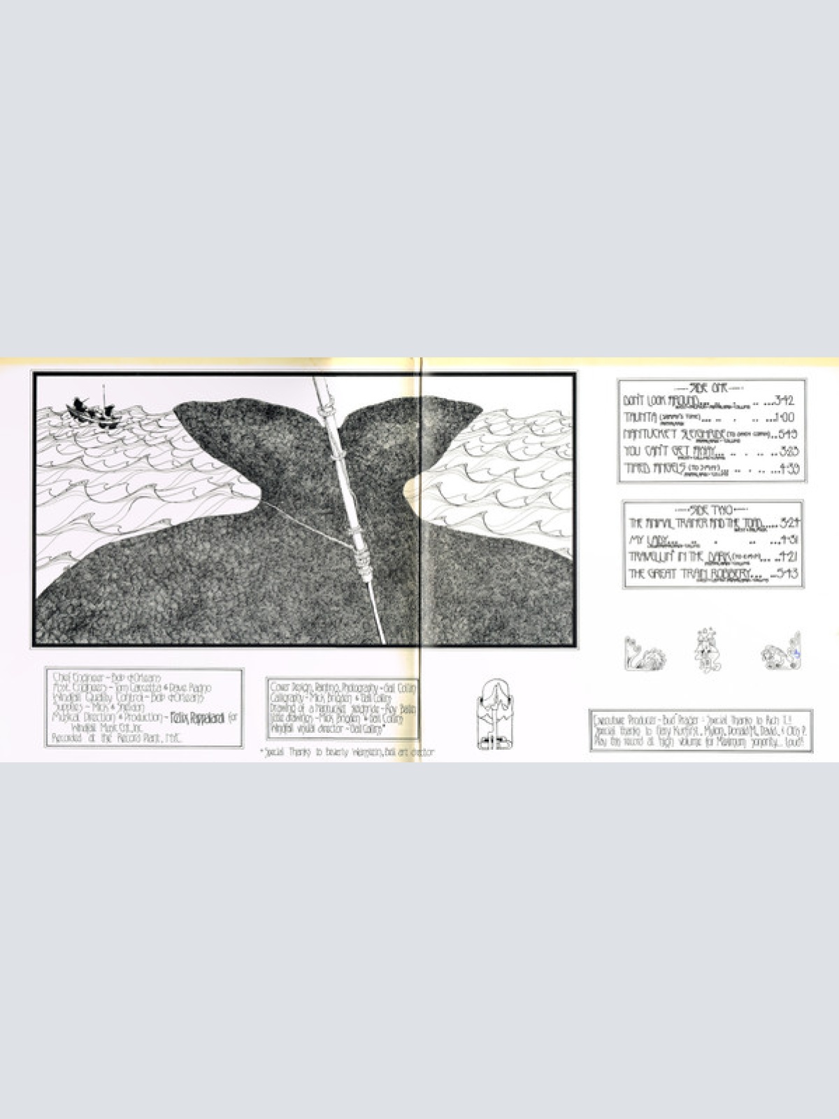 Vinyl / Mountain - Nantucket Sleighride