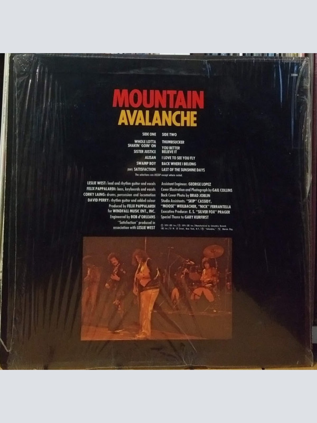 Vinyl / Mountain - Avalanche