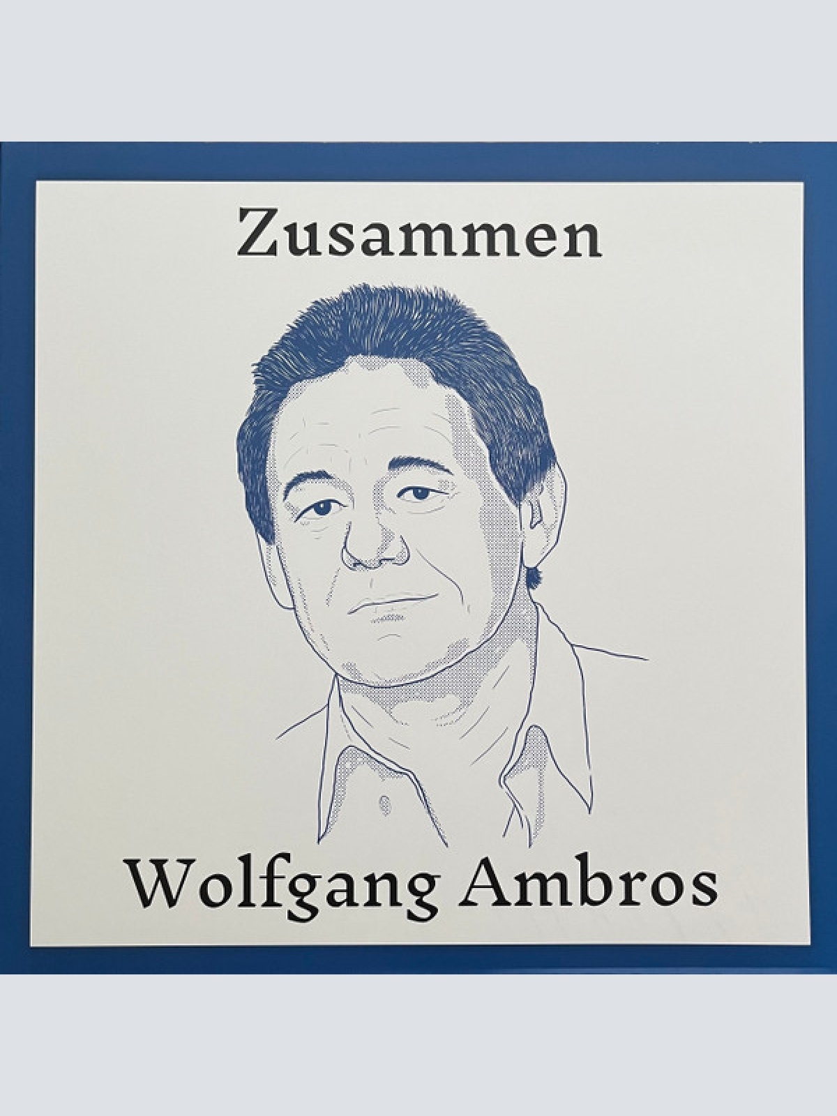 Vinyl / Wolfgang Ambros - Zusammen