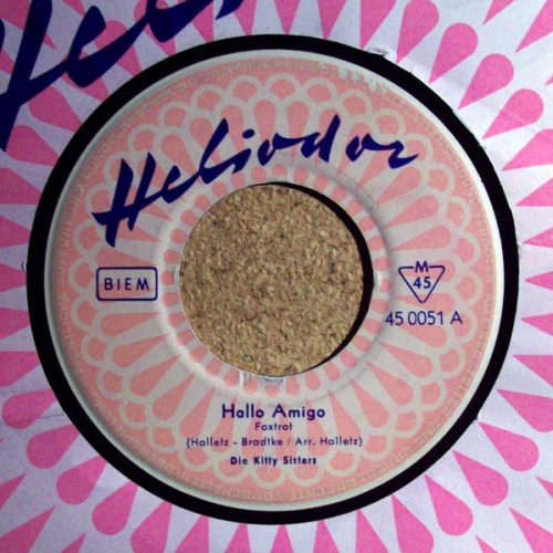 Vinyl / Die Kitty Sisters* - Hallo Amigo / Was Bliebe Einer Frau Ohne Liebe (Sincerely)