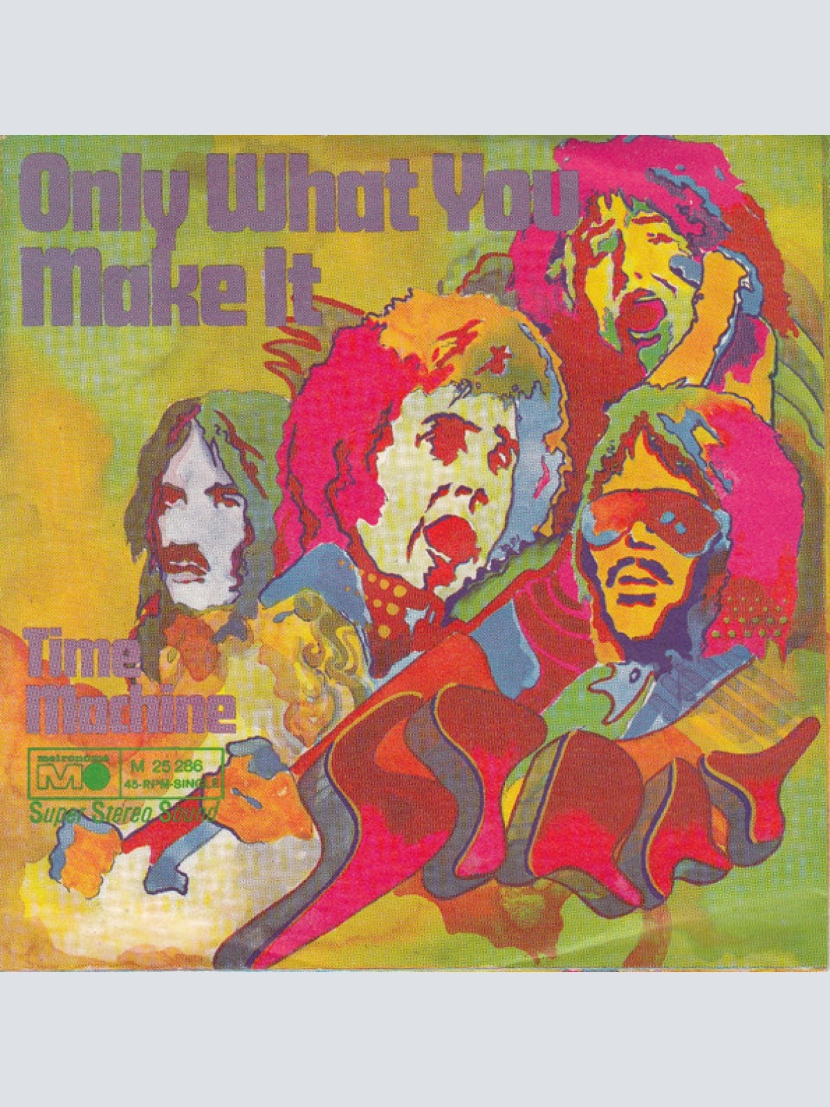 Vinyl / Stray (6) - Only What You Make It