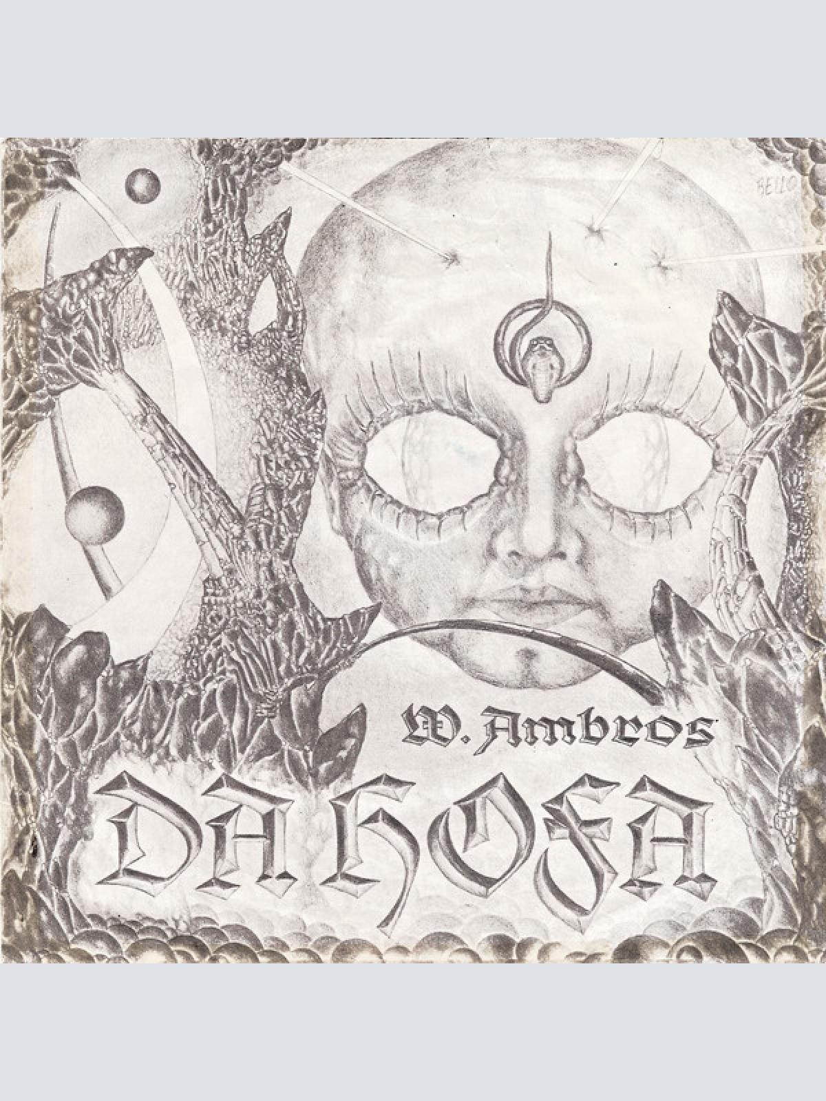 Vinyl / W. Ambros* - Da Hofa / I Bin Allan