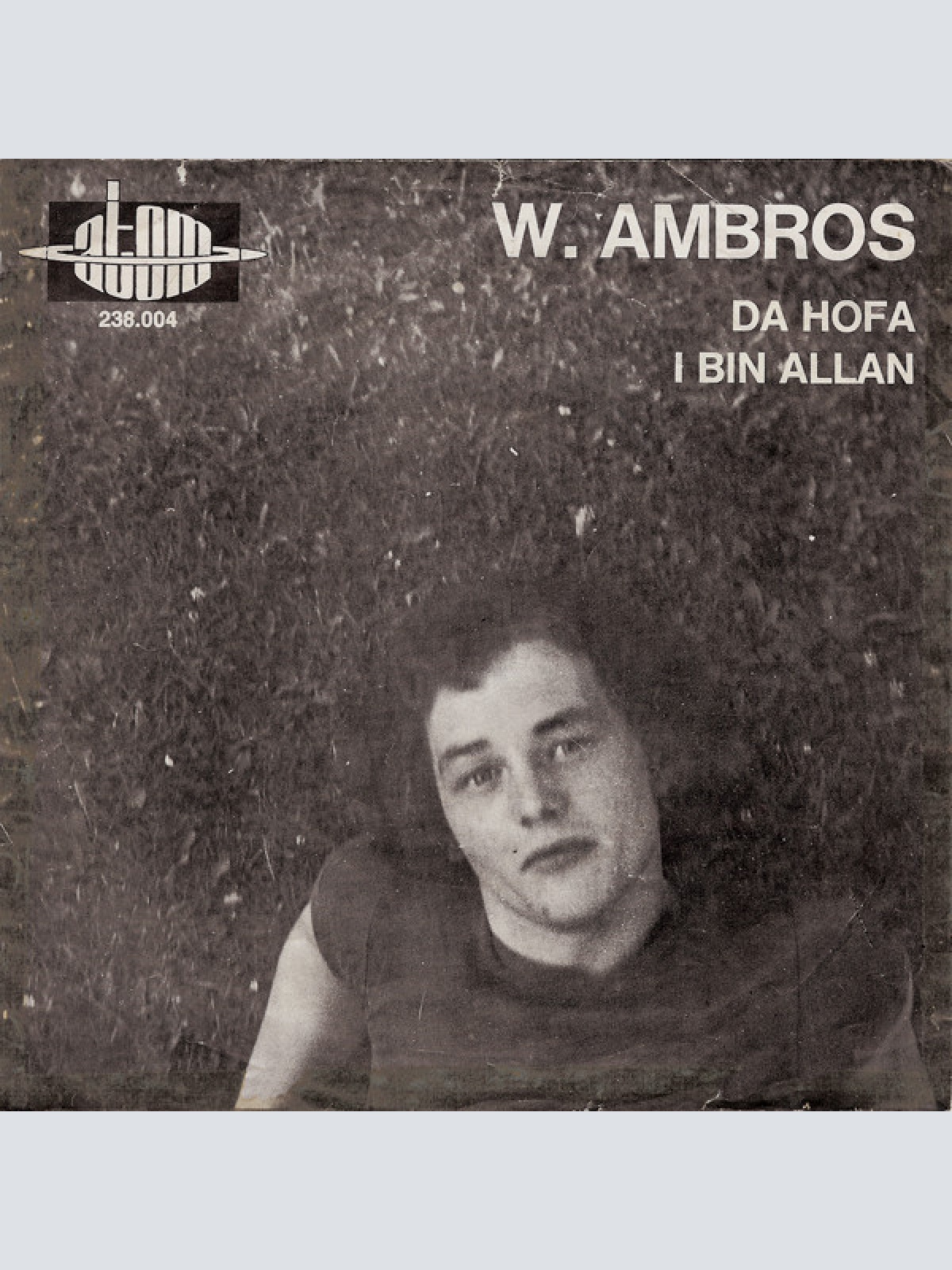 Vinyl / W. Ambros* - Da Hofa / I Bin Allan