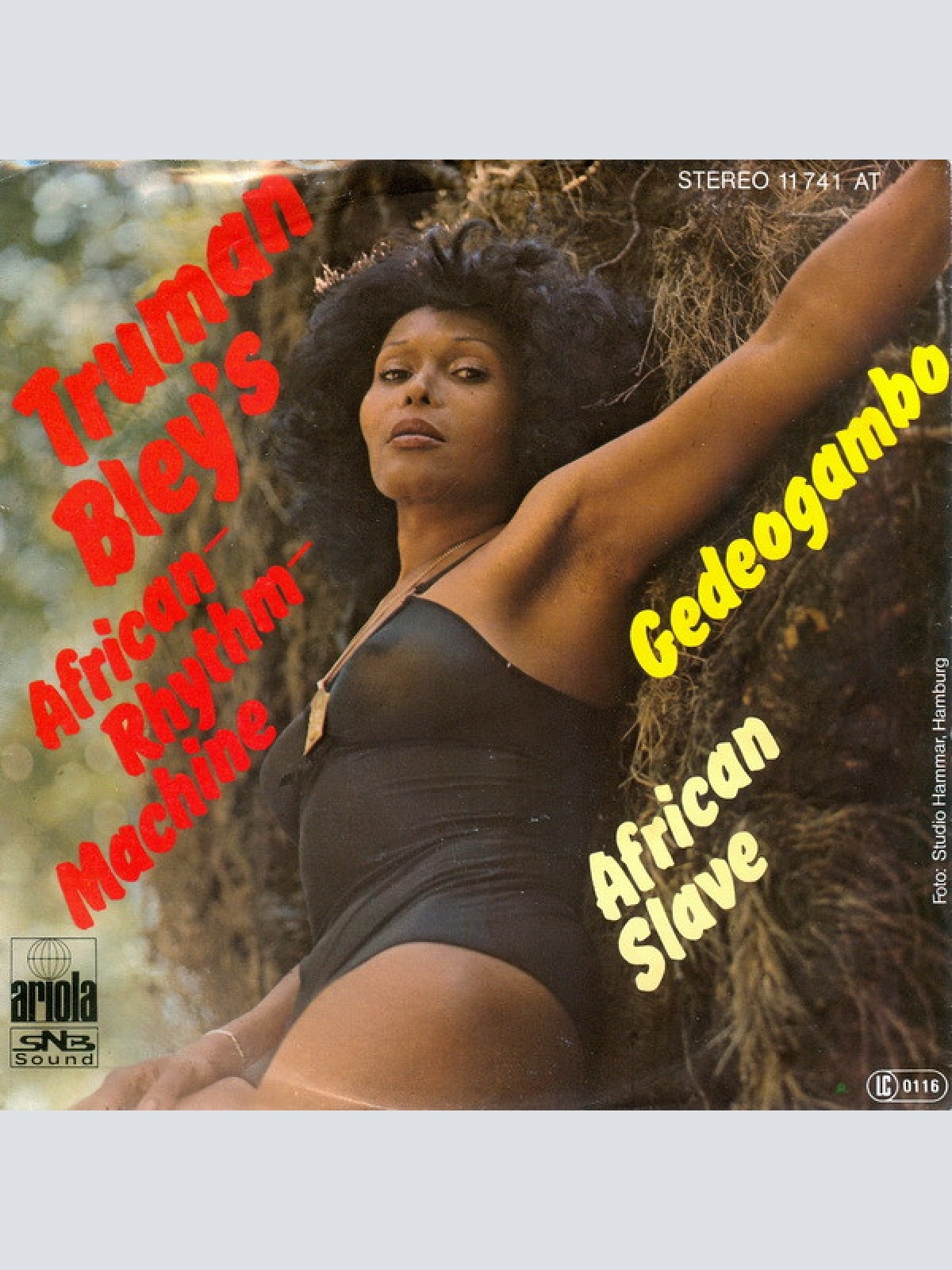 Vinyl / Truman Bley's African-Rhythm-Machine - Gedeogambo / African Slave
