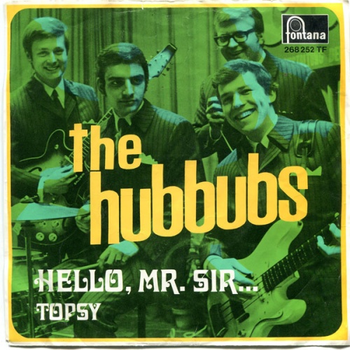 Vinyl / The Hubbubs - Hello, Mr. Sir... / Topsy