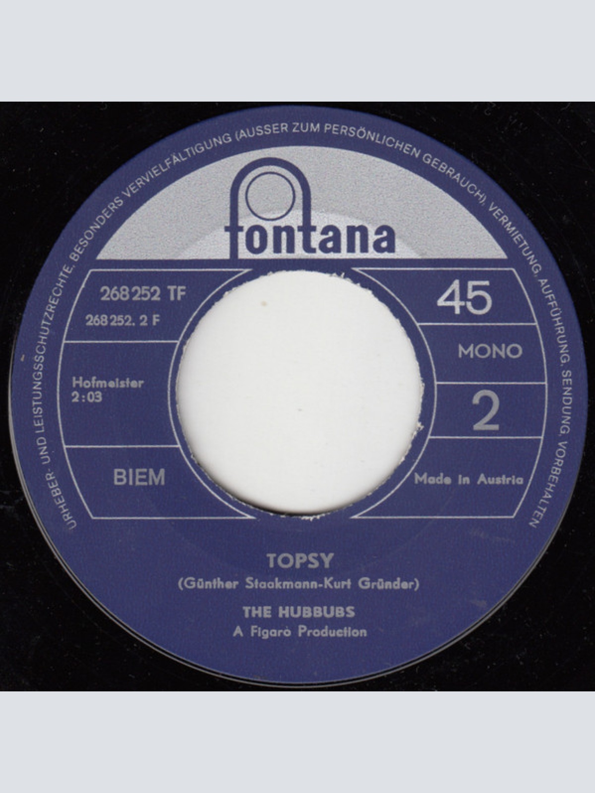 Vinyl / The Hubbubs - Hello, Mr. Sir... / Topsy