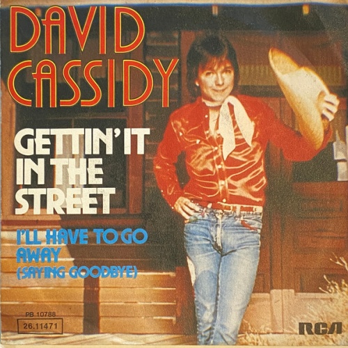 Vinyl / David Cassidy - Gettin' It In The Street