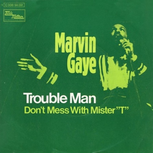 Vinyl / Marvin Gaye - Trouble Man