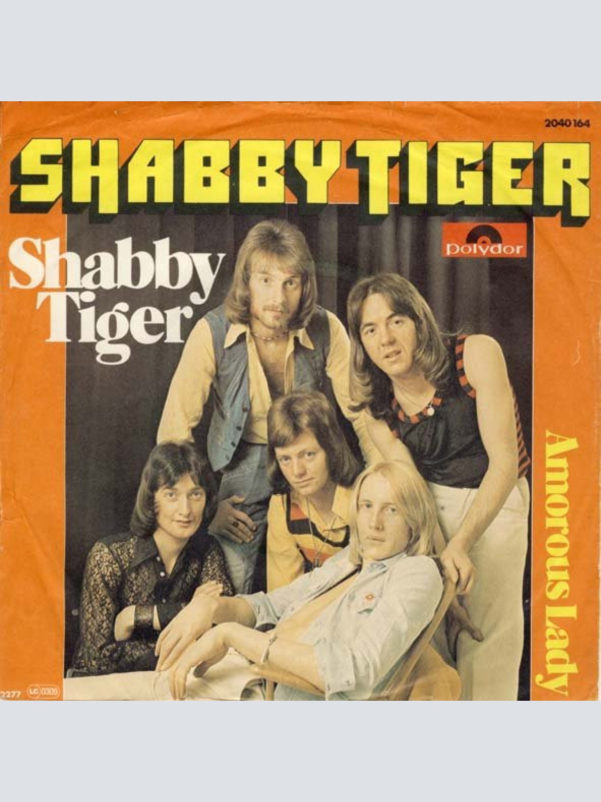 Vinyl / Shabby Tiger - Shabby Tiger