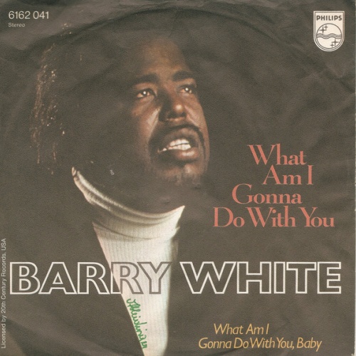 Vinyl / Barry White - What Am I Gonna Do With You ?