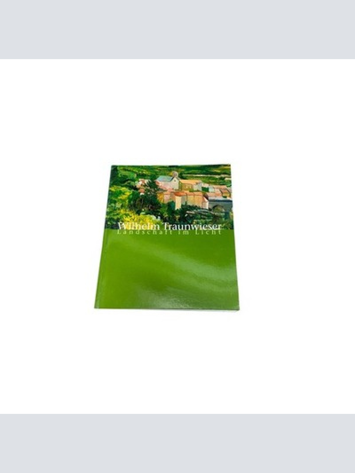 9231 WILHELM TRAUNWIESER LANDSCHAFT IM LICHT (KATALOG SONDERAUSSTELLUNG SALZBURG