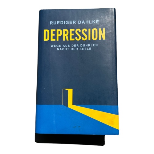 6379 Rüdiger Dahlke DEPRESSION Wege aus der dunklen Nacht der Seele HC
