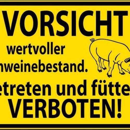 Vorsicht wertvoller schweinebestand betreten und füttern verboten  20x30