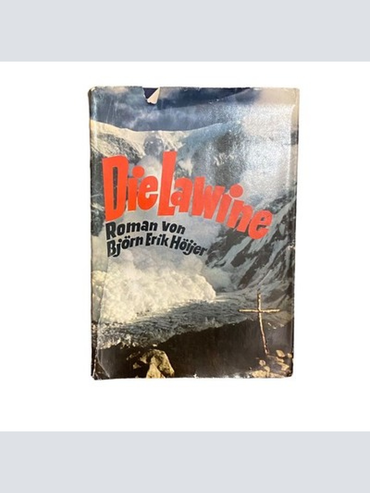 4207 Björn Erik Höijer DIE LAWINE: ROMAN HC Das Bergland Buch