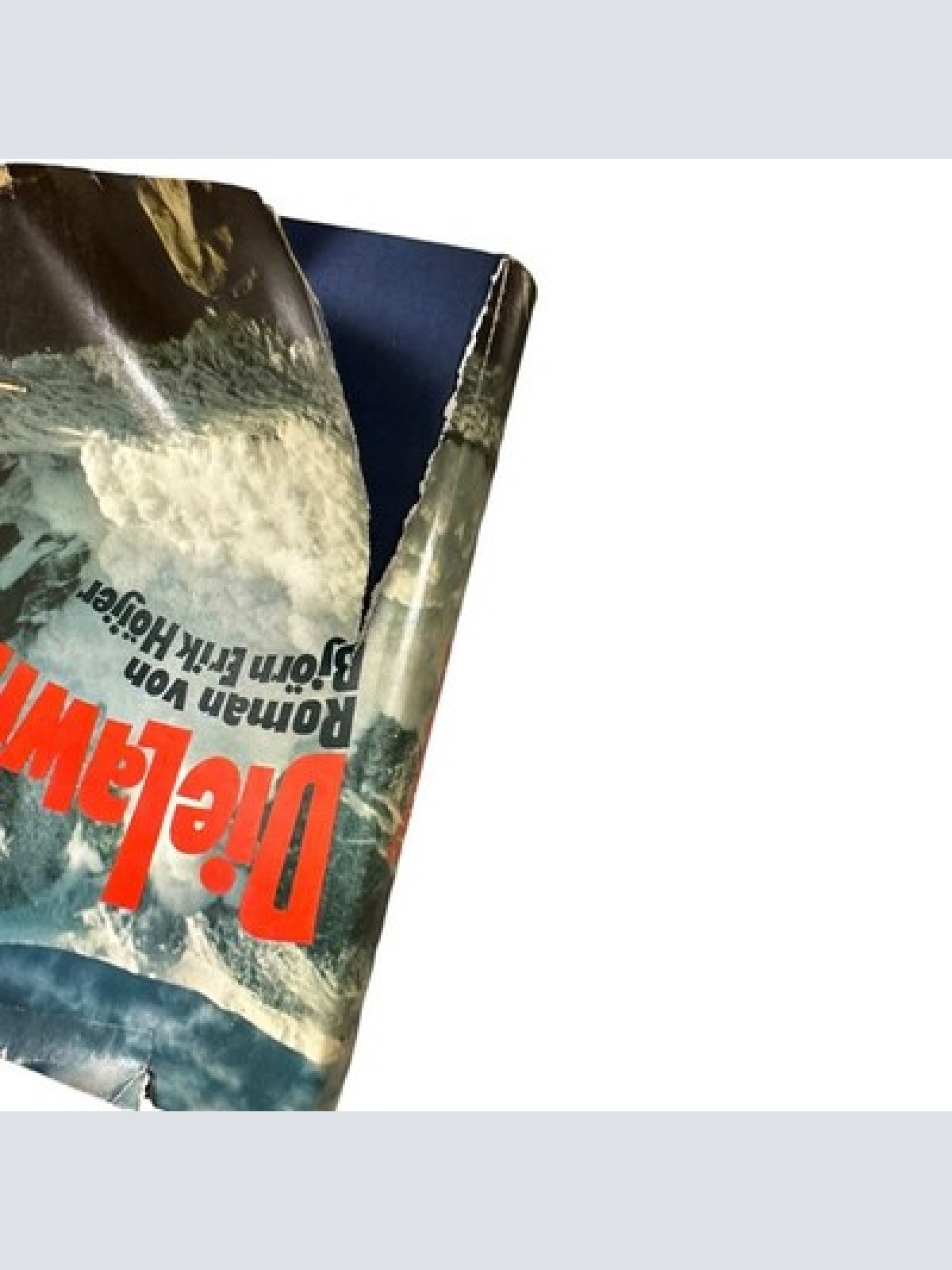 4207 Björn Erik Höijer DIE LAWINE: ROMAN HC Das Bergland Buch