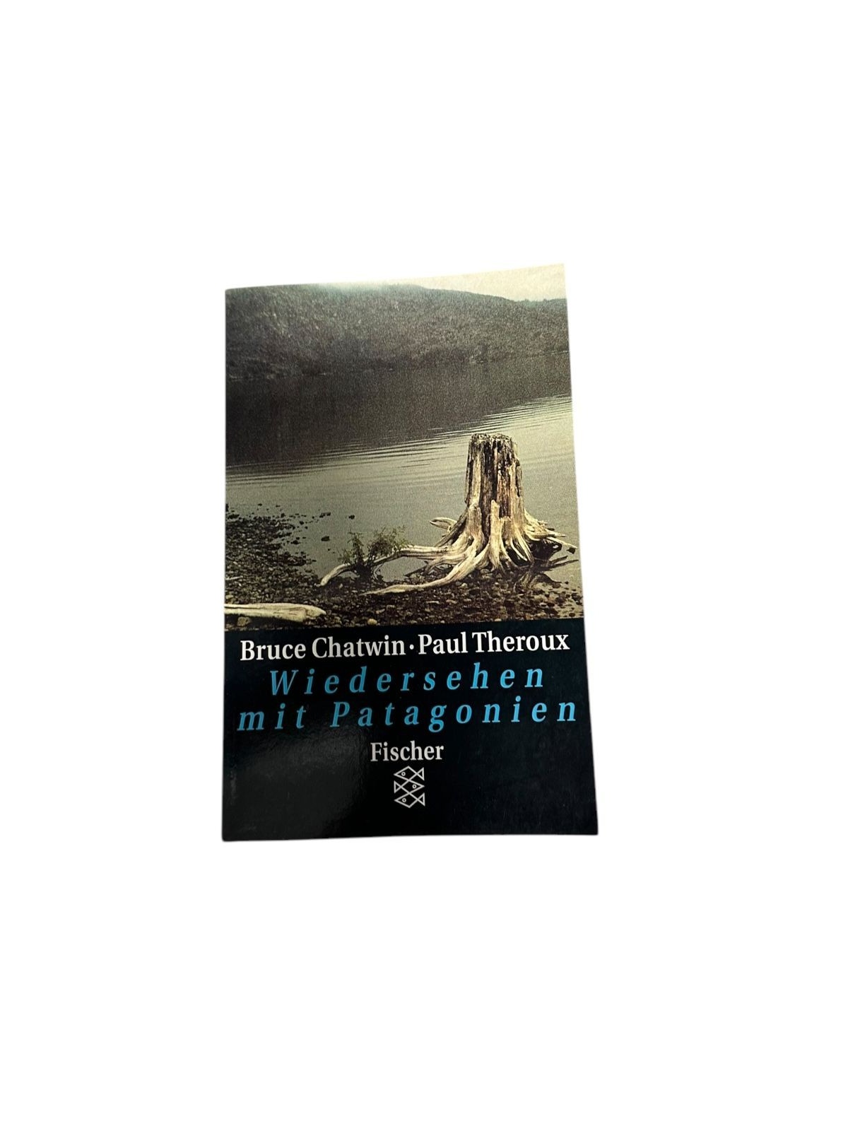 9320 Bruce Chatwin WIEDERSEHEN MIT PATAGONIEN