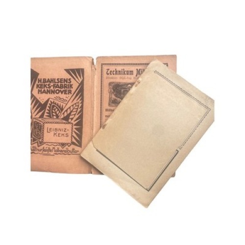 4592 ILLUSTRIERTER FÜHRER DURCH DIE STÄDTE LINDAU UND BREGENZ AM BODENSEE UND DE