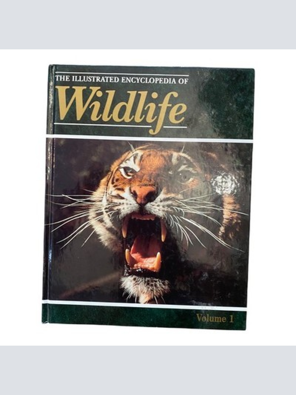 586 John Woodward THE ILLUSTRATED ENCYCLOPEDIA - WILDLIFE HC