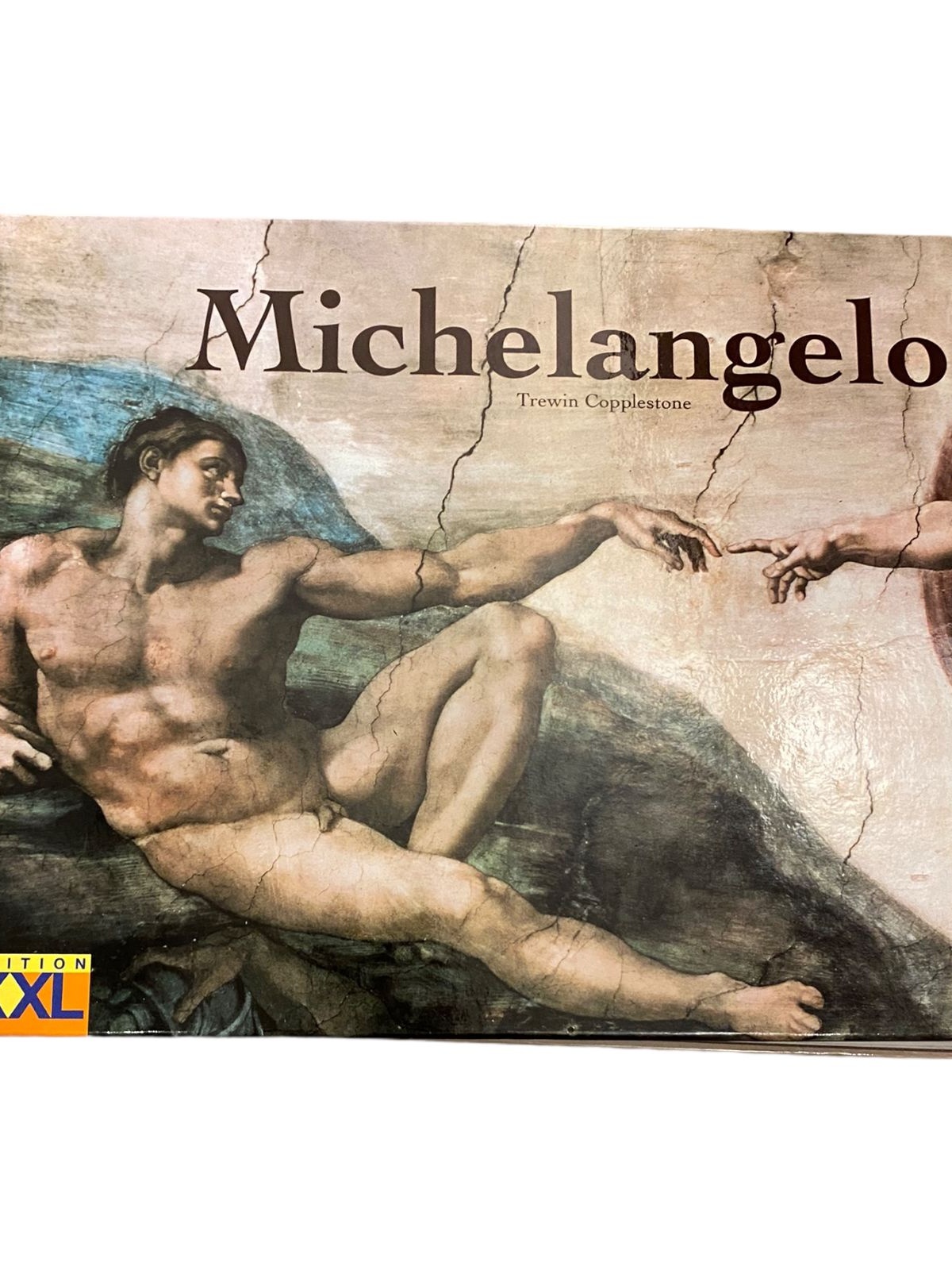 1150 Trewin Copplestone MICHELANGELO HC Kunstgeschichte Kultur