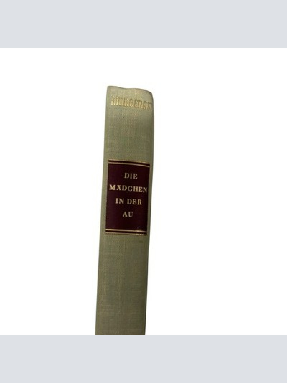 8735 Ernst M. Mungenast DIE MÄDCHEN IN DER AU Roman HC +Ilus