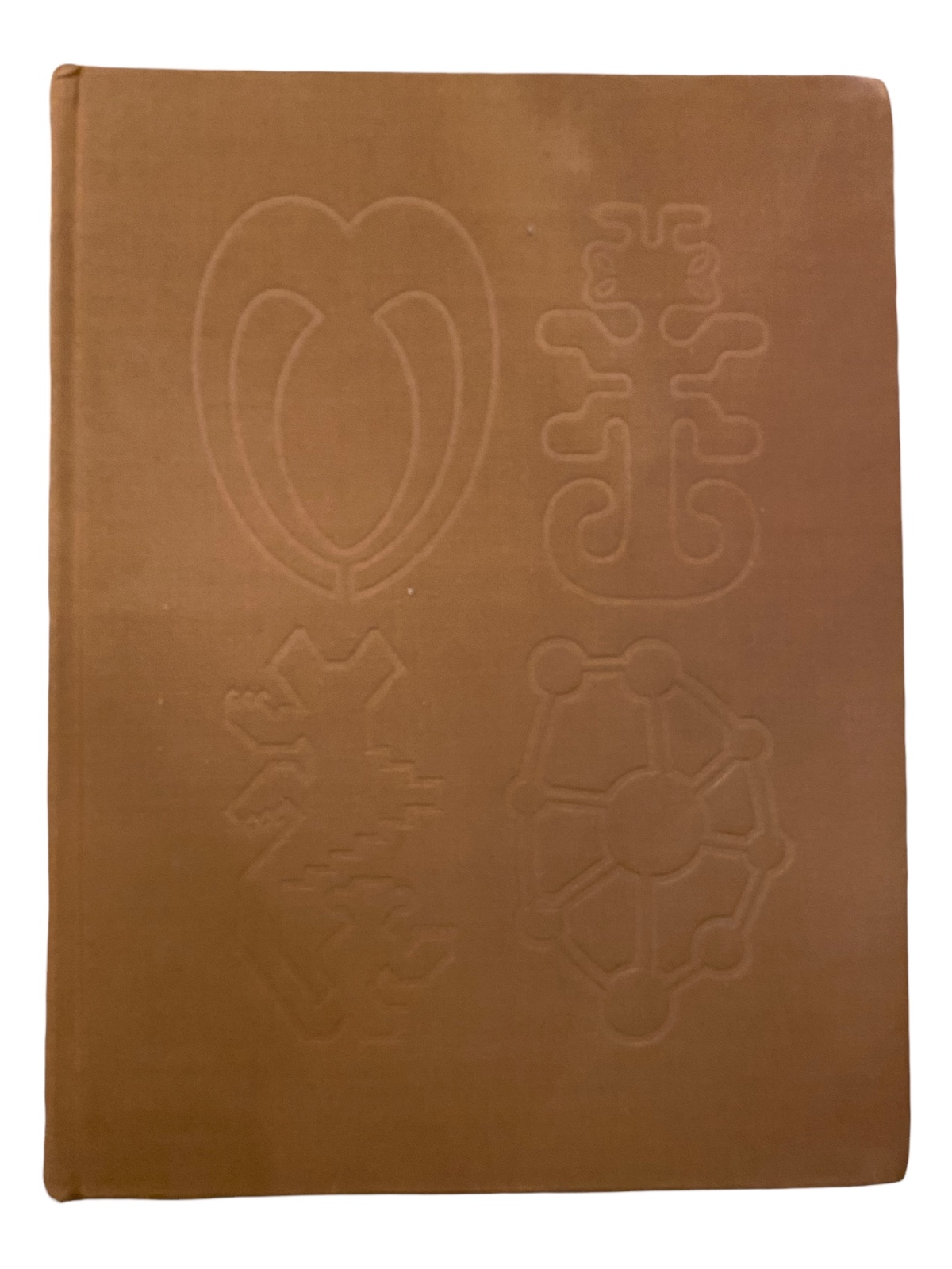 1733 Douglas Newton MASTERPIECES OF PRIMITIVE ART HC +Abb