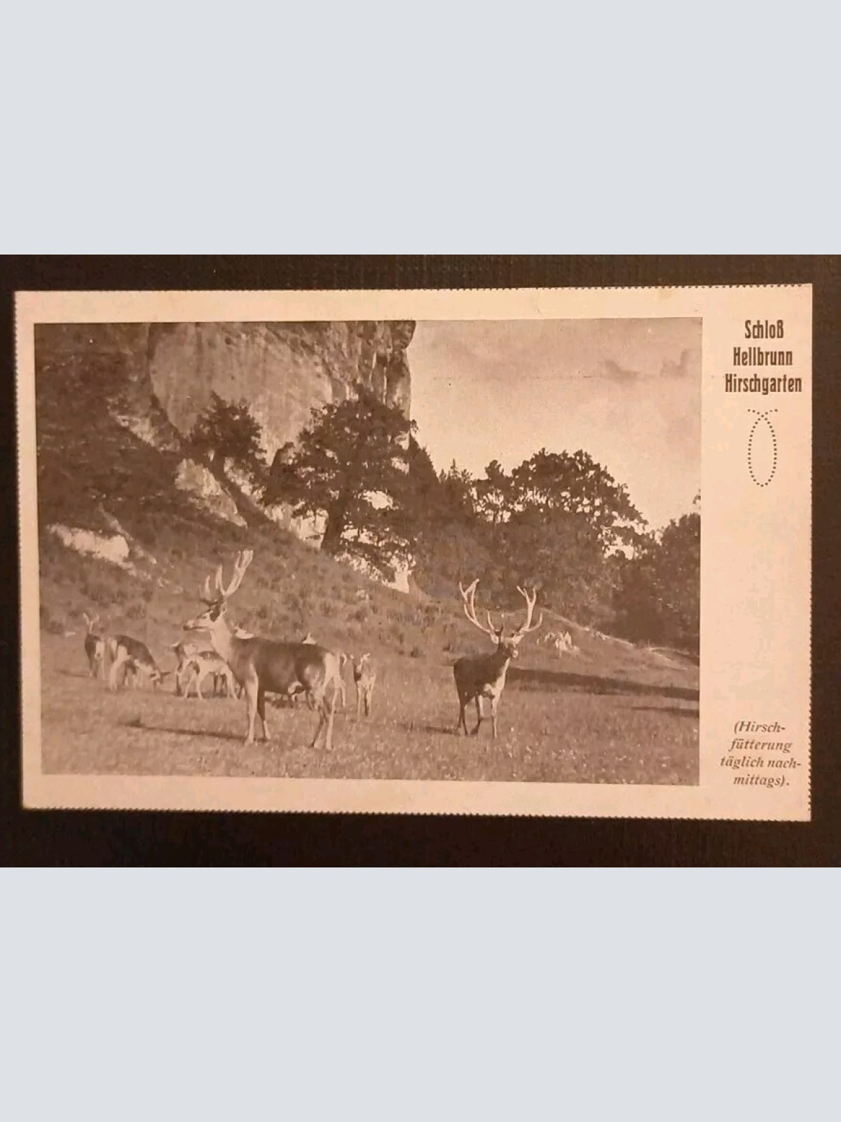 Salzburg Hellbrunn Hirschgarten 600335A gr K