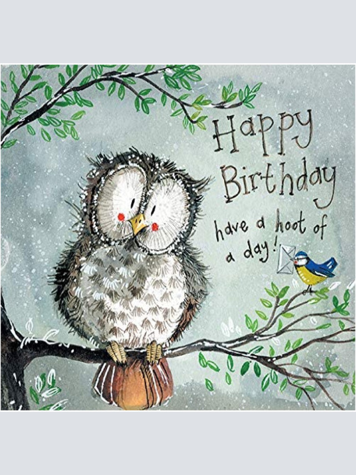 Alex Clark Hoot of a Day Eule zum Geburtstag  140x140 mm incl. Umschlag  0029