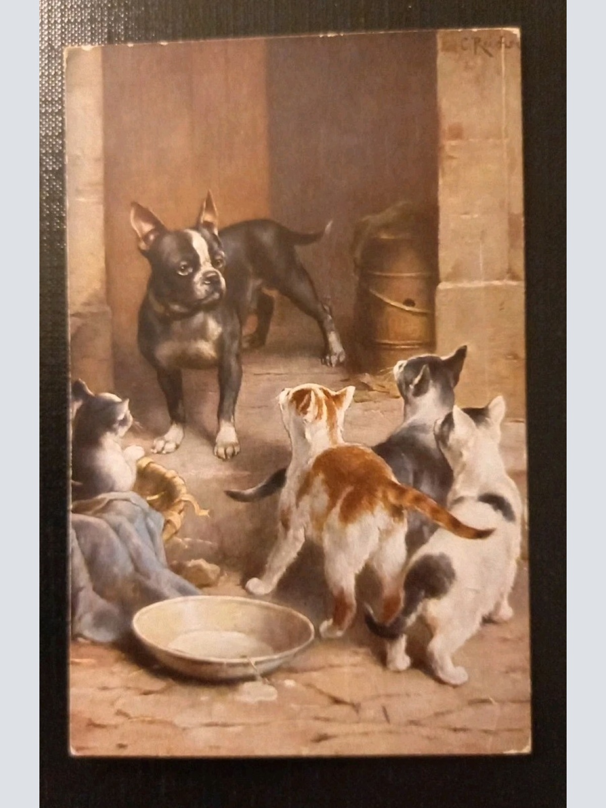 Künstlerkarte Hund und Katze Katzen Bulldogge  Gr1 J