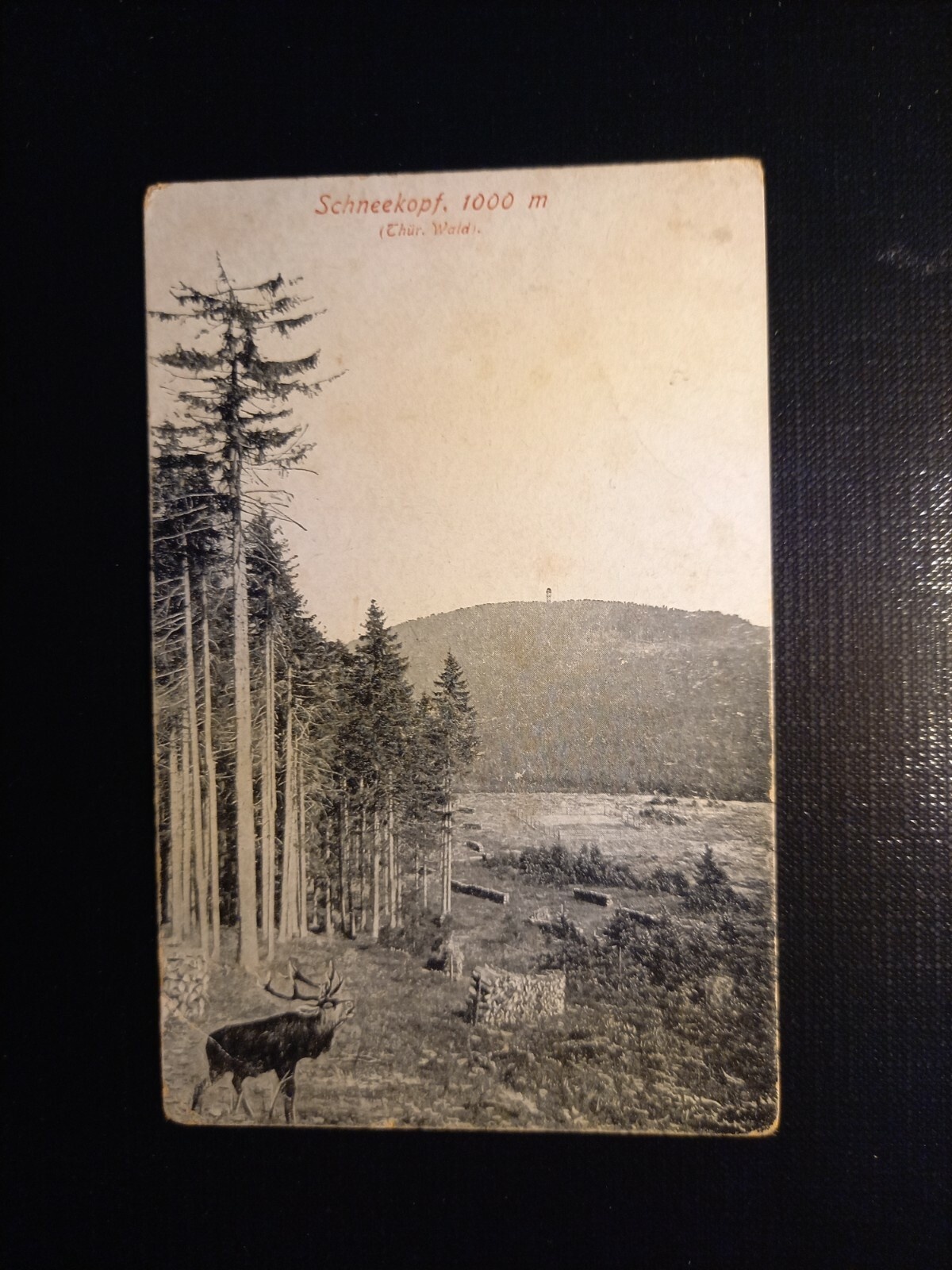 Schneeketten, Thür.Wald 402765 gr C