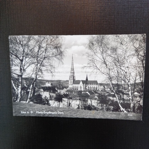 Linz a.d.Donau, Maria Empfängnis Dom 402869 gr