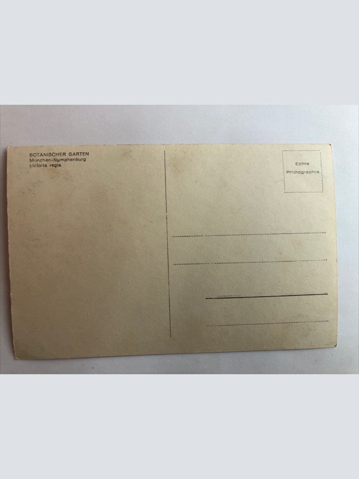 Botanischer Garten München - Nymphenburg. 20263