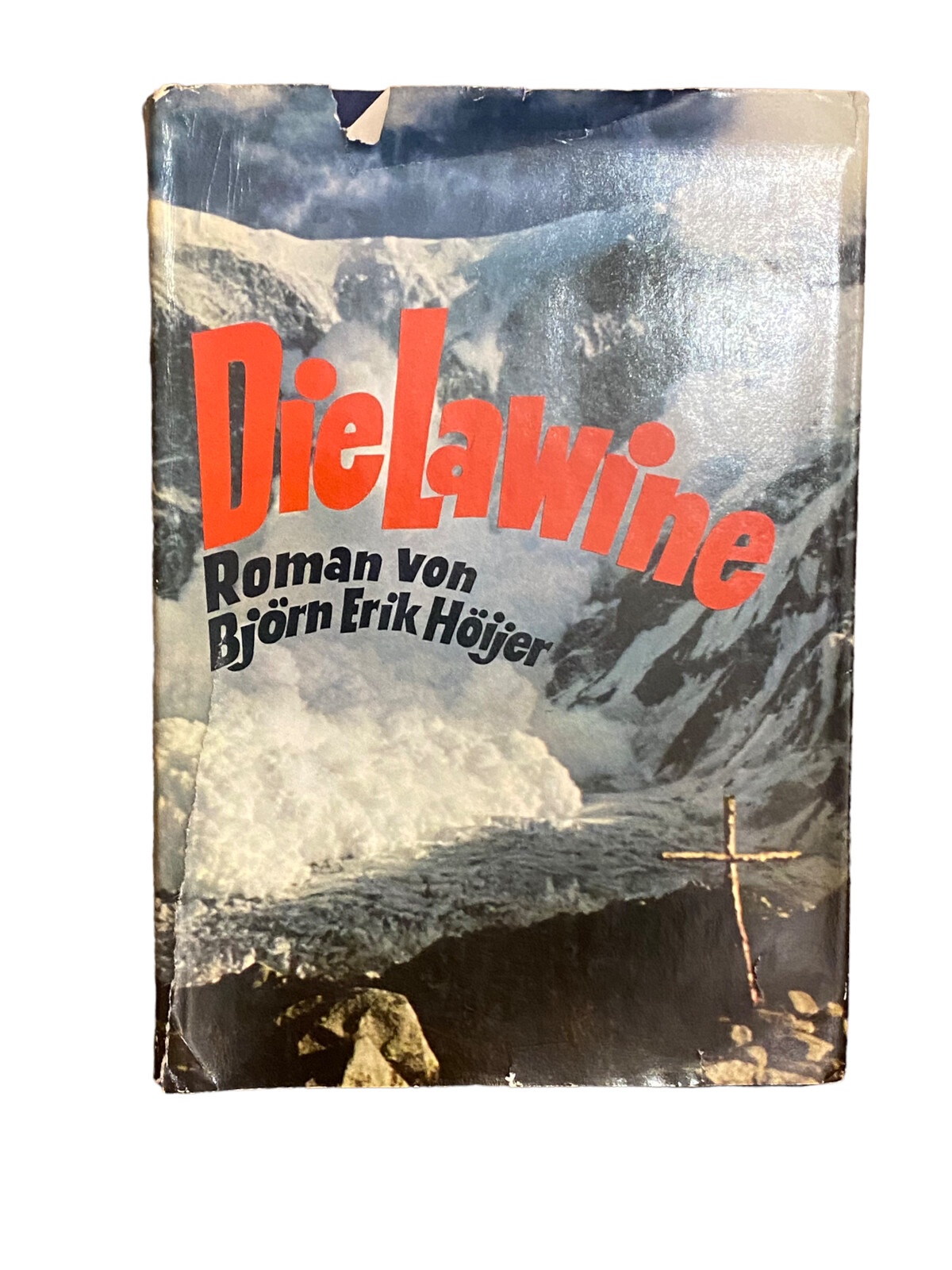 4207 Björn Erik Höijer DIE LAWINE: ROMAN HC Das Bergland Buch