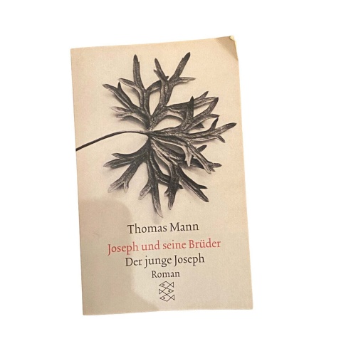 4903 Thomas Mann JOSEPH UND SEINE BRÜDER Fischer Verlag