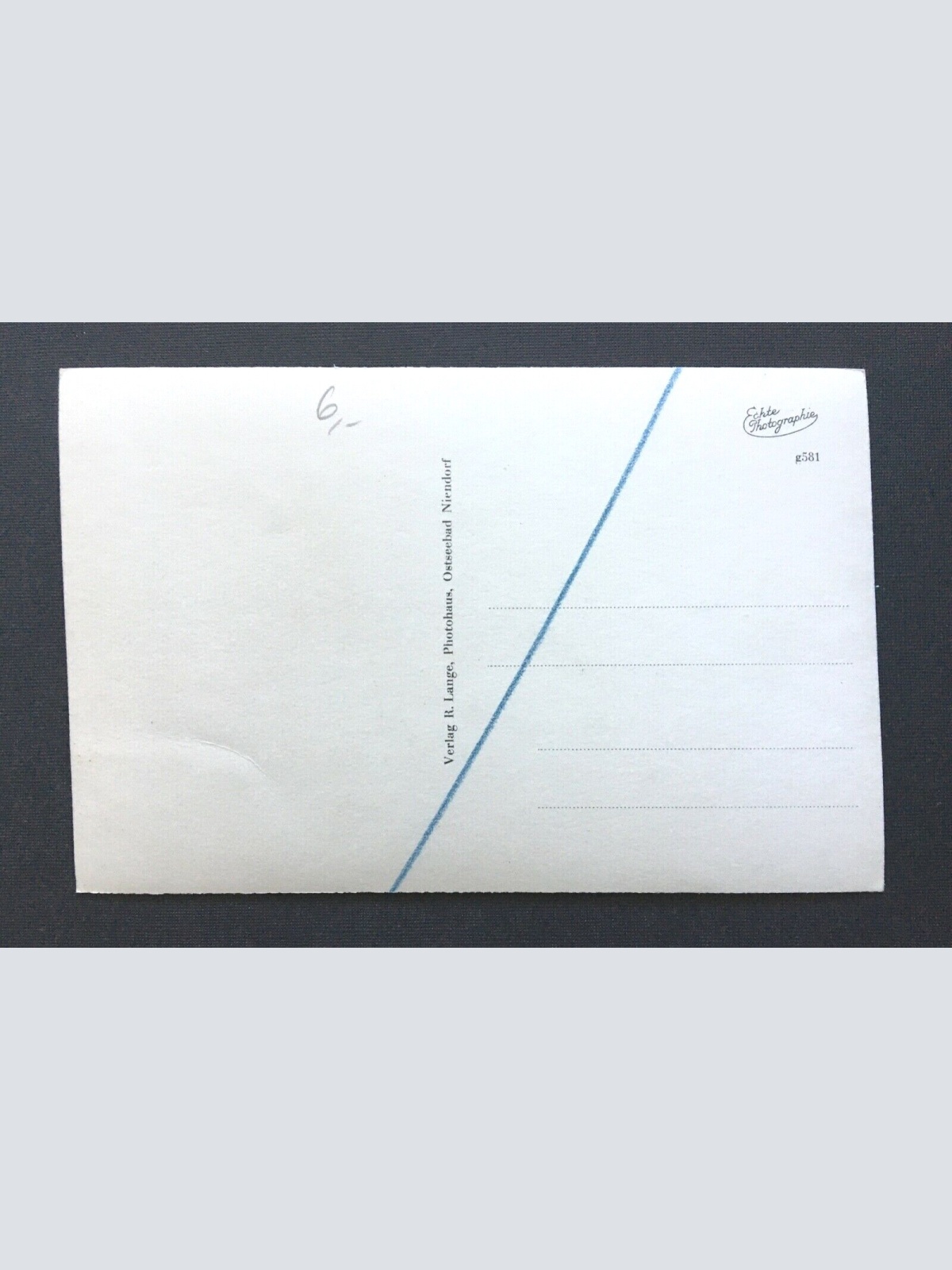 Ostseebad Niendorf Möwe im Flug Welle Schleswig-Holstein Deutschland 4006601 TH