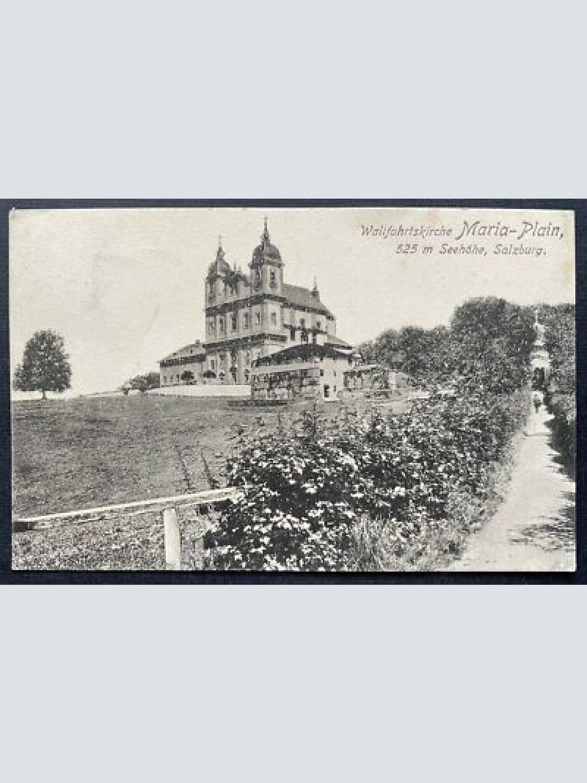 Wallfahrtskirche Maria Plain Salzburg Basilika Baum Weg Österreich 410811 TH