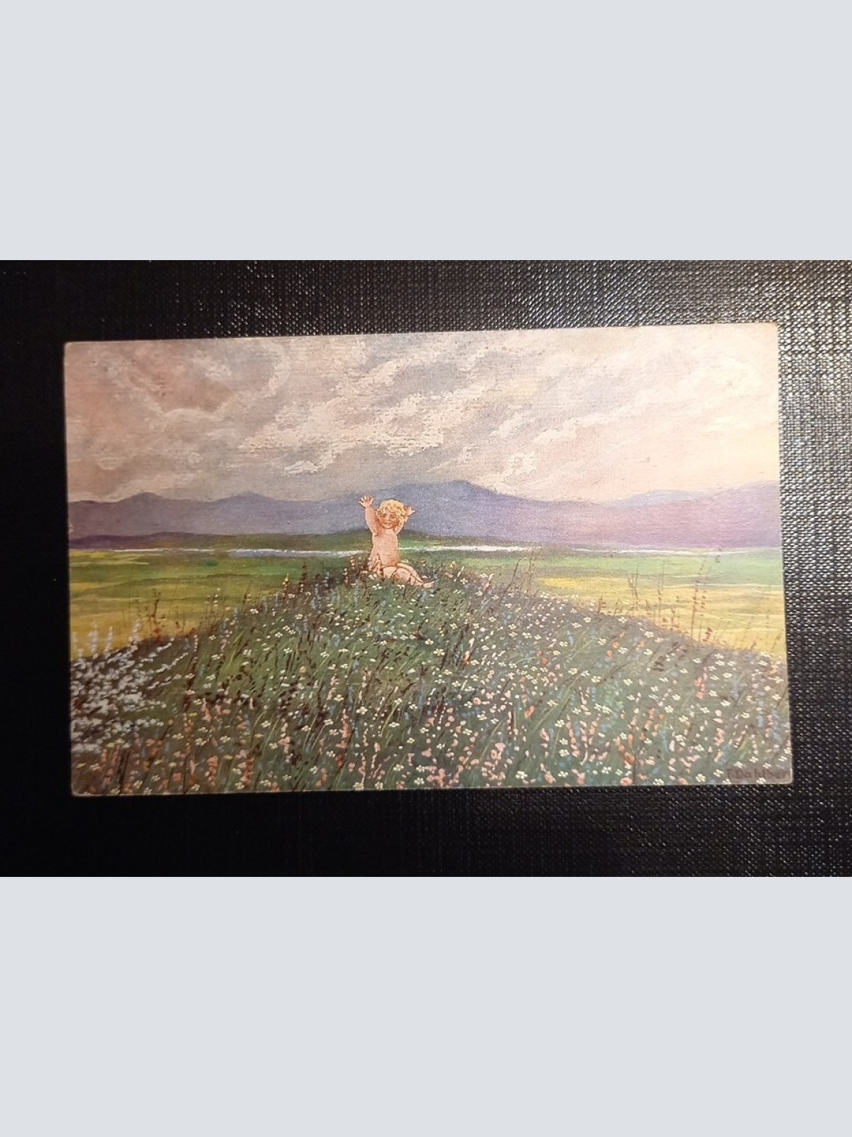 Mein Ist Die Welt Mädchen In Der Blumenwiese 650475 Ga B