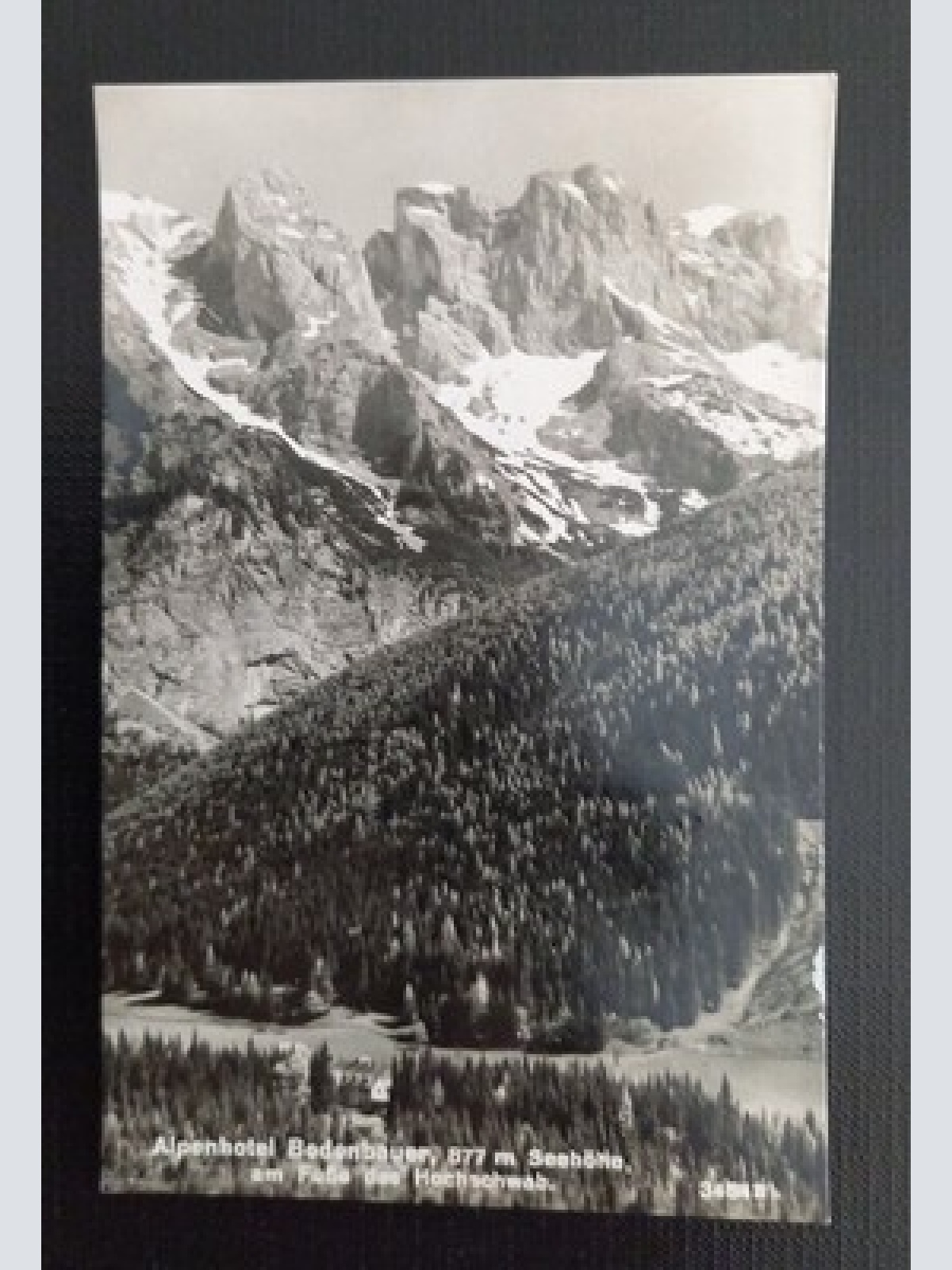 Ansichtskarte Alpenhotel Bodenbauer am Fuße des Hochschwab 650276 Ga E