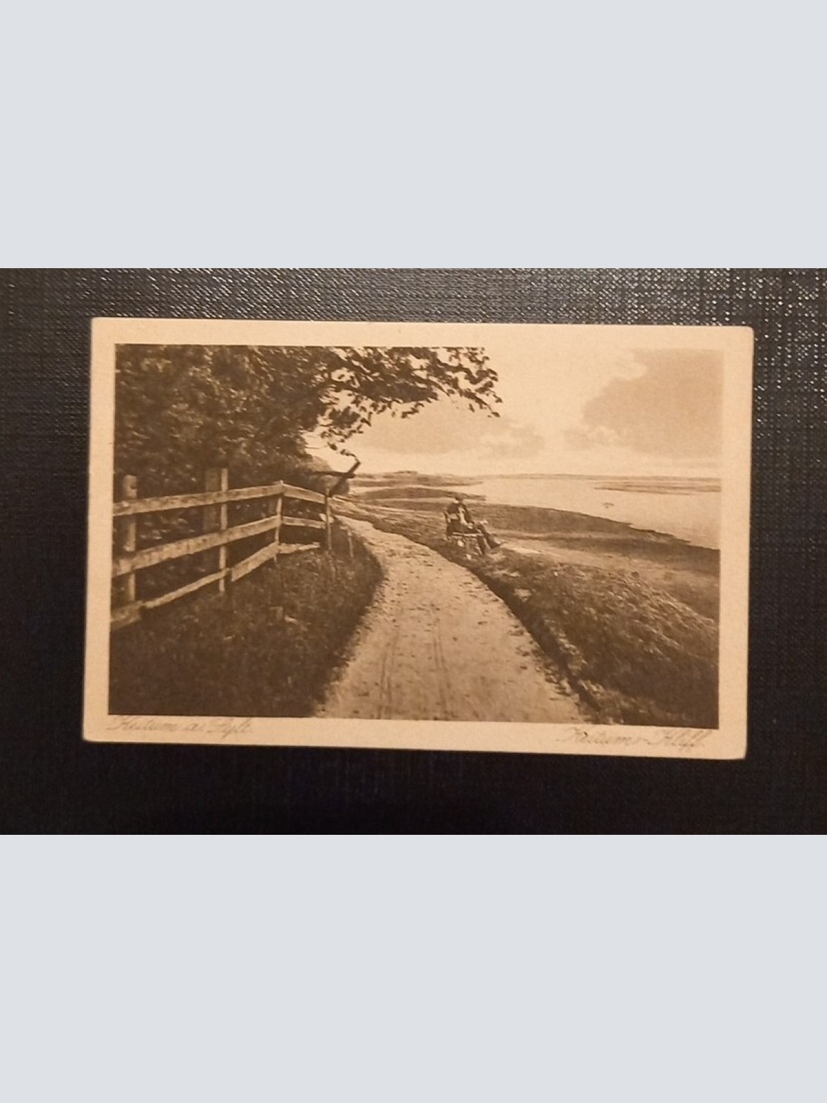 Kaitum Sylt 041 Ga E