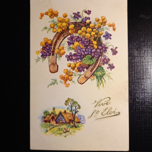 Hufeisen, Vive St.Eloi 402768 gr