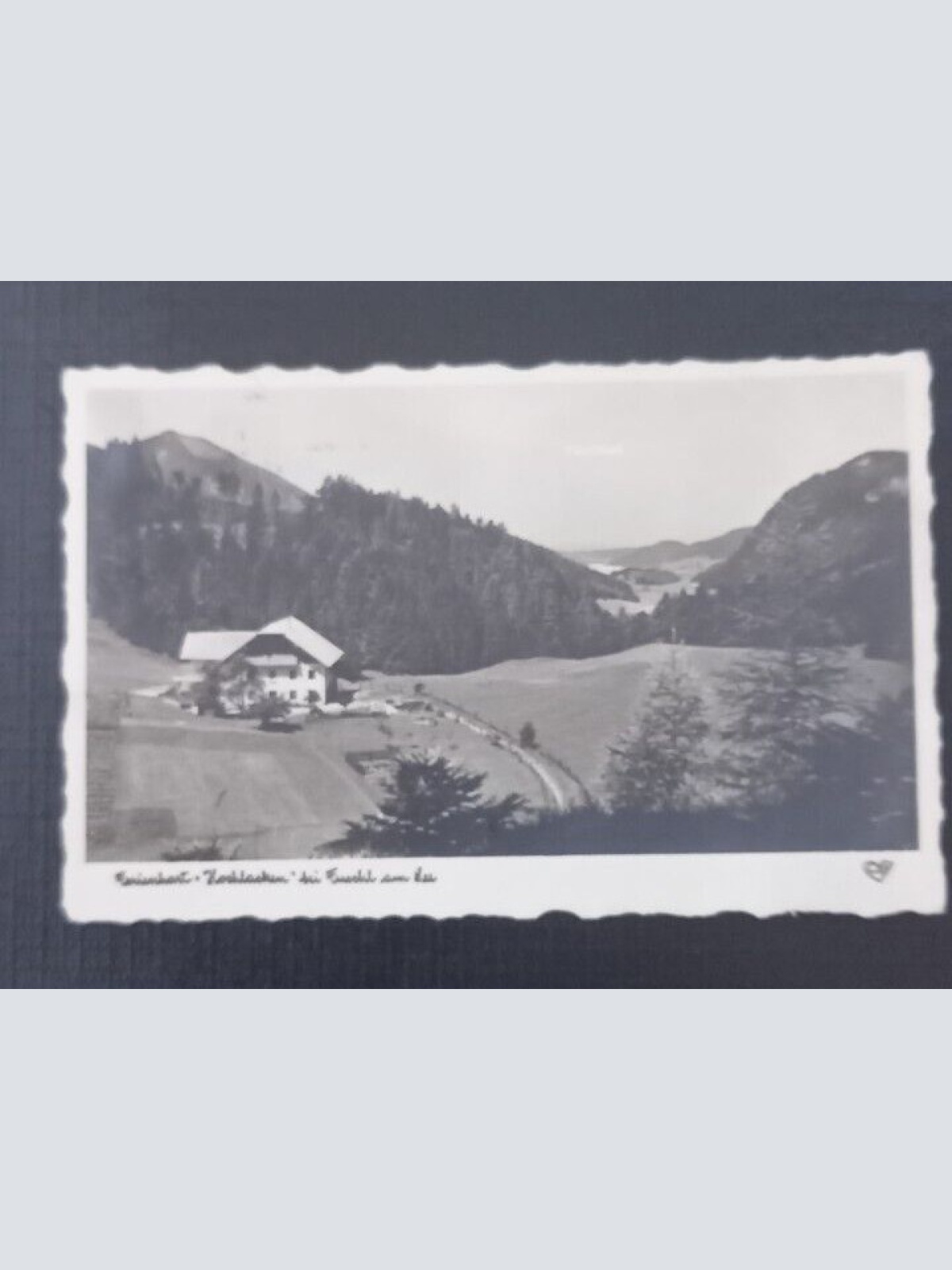 Salzburg Ferienhort Hochlacken bei Fuschl am See600733A gr