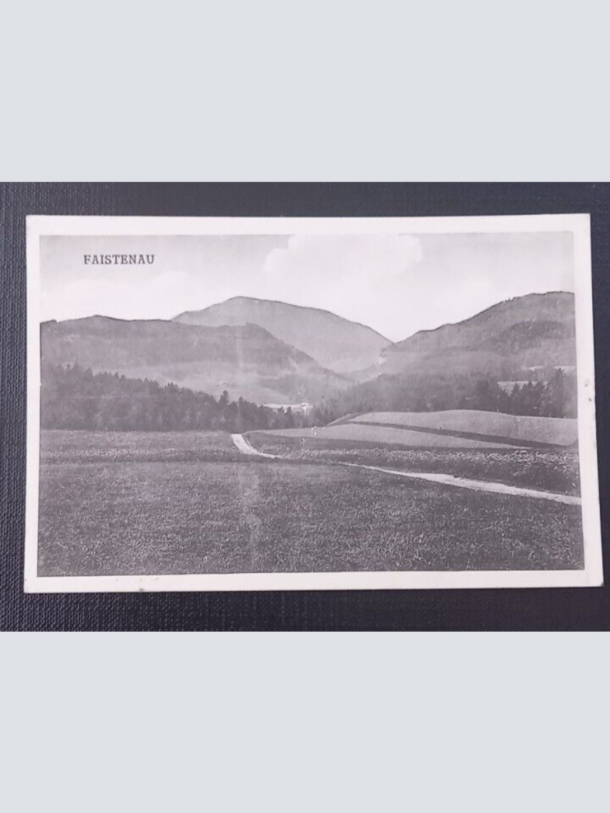 Salzburg Faistenau Landschaft 600261A gr