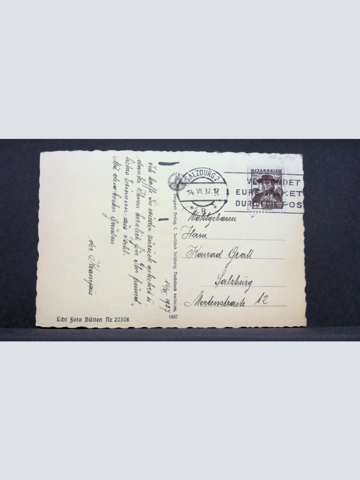 Salzburg Wintergäste Vögel Brücke Fluss Möwen JW 165615