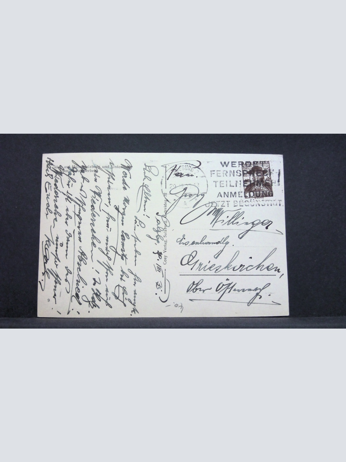 Salzburg Stadtansicht Hohensalzburg Berge Salzach Zweige JW 753214